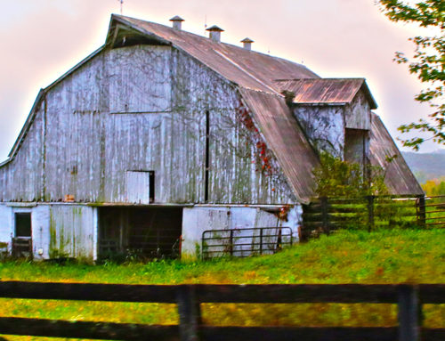 Professional interests…and barns